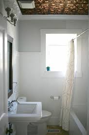 Nile Shower Curtain From West Elm Bathroom Ceiling Tin Ceiling Bathroom Ceiling Tiles Bathroom