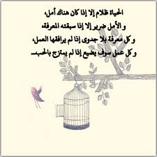 الحياة ظلام إلا إذا كان هناك أمل و الأمل ضرير إلا إذا سبقته المعرفة و كل معرفة بلا جدوى إذا لم يرافقها ا love quotes wallpaper wallpaper quotes arabic quotes