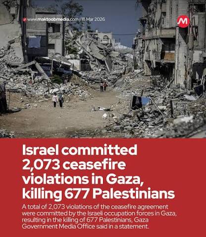 Israel committed 2,073 ceasefire violations in Gaza, killing 677  Palestinians A total of 2,073 violations of the ceasefire agreement were  committed by the Israeli occupation forces in Gaza, resultin