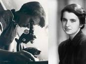 Image result for rosalind franklin biografia