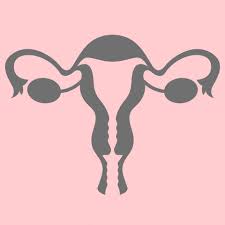 What are the symptoms of ovarian cancer? Ovarian Cancer Screening Isn T As Simple As Getting An Ultrasound Self