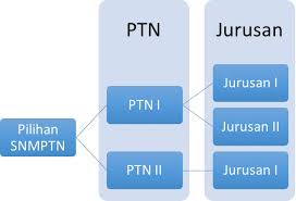 Manakah jurusan yang jadi pilihan pertama dan pilihan kedua di sbmptn? Good Apakah Undip Mau Dijadikan Pilihan Kedua