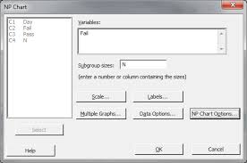 Np Chart With Minitab Lean Sigma Corporation