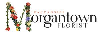 The center of each city listed is within 53 miles of morgantown, wv. Florists In Morgantown Wv Visitmountaineercountry Com