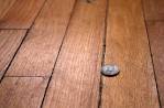 ReallyCheapFloors America s Cheapest Hardwood Flooring