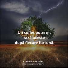 Tu Poți Depăși Orice Obstacol Puterea E In Interiorul Tău Descoper O și Folosește O La Maxim Spiritual Quotes True Words Journal Quotes