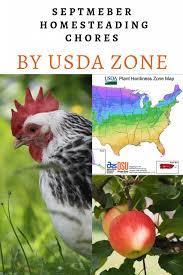September Bird Of The Month September Homesteading Chores By Usda Zone Here Are The Chores For Your Homestead In The Month Of September Homesteading Usda Zones Plant Hardiness Zone Map