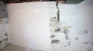 Designed for interior, exterior, above or below grade masonry walls, basement walls, retaining walls, foundations, landscape walls, cinder blocks, concrete blocks, bare concrete swimming pools, stucco and brick. Waterproofing Basement Walls With Drylok Paint Waterproofing Basement Waterproofing Basement Walls Basement Walls