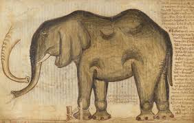 An elephant's trunk is usually around the length of its body, give or take a couple of feet. How Did The Elephant Get Its Trunk History Today