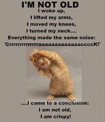 Funny Old People Quotes Funny Quotes Funny Quotes About Life Good Morning Quotes