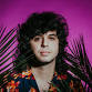 Flamingosis event image