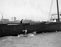 Image result for Rouge Marina 1986 UMM