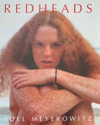 Mathieu Terence, Peter Wyss