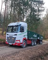 Image result for Foresta 1969 DAF