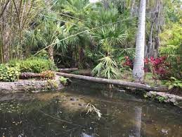 Nestled in lush tropical foliage over 500 animals 23 acres of native gardens insect zoo and reptile house children's zoo with animals you can feed &. Florida Institute Of Technology Botanical Garden Hiking Trail Melbourne Florida