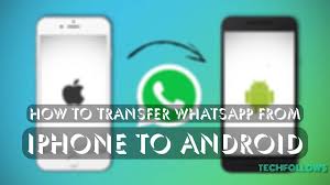 Tap chats > chat backup. How To Transfer Whatsapp From Iphone To Android 2021 Tech Follows