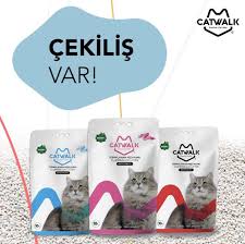 Catwalk Kedi Kumu Home Facebook