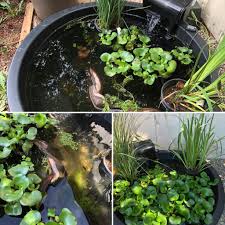 You can use virtually any watertight container for your mini pond. Stages Of My Mini Pond From Early June To Now Perfect Place To Relax Beside With A Cold Drink And A Book Aquariums