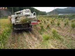 youtube youtube enjoyment agriculture