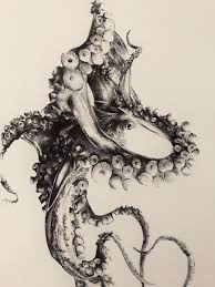 Octopus Drawing Explore Tumblr Posts And Blogs Tumgir Elephants' trunks, and octopuses' tentacles are such an example. octopus drawing explore tumblr posts