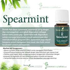 Pin Di Aromaterapi Sehat