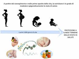È la cosiddetta teoria dei 1000 giorni, nei quali si decide l'avvenire del bambino. Istituto Scotti Bassani Strategie Nutrizionali Nei Primi 1000 Giorni La Prevenzione Inizia Dal Concepimento