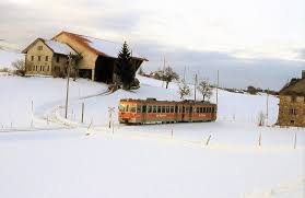 Trains Des T P F Anciennement G F M Voie Metrique Suisse House Styles Train La Tour