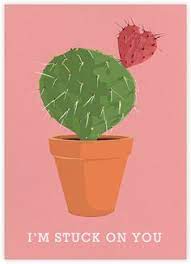 So cactus adaptations to collect water quickly and efficiently before the moisture evaporates away in the dry air are essential for the plant to survive. 14 Cactus Quoted Ideas Cactus Quotes Cactus Cactus Art