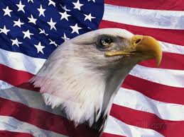 Image result for american flag