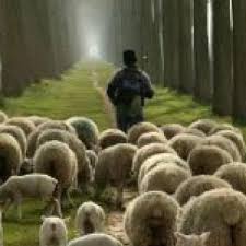 His Sheep Know His Voice Ministries In Christ - Home | Facebook