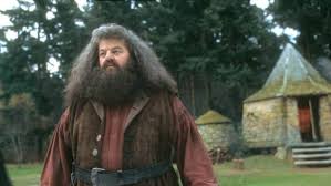 Robbie Coltrane From Harry Potter Today In 2020 Robbie Coltrane Harry Potter Professoren Harry Potter Film