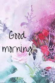 Best Good Morning Hd Images Wishes Pictures And Greetings Good Morning Wallpaper Morning Images Good Morning Images