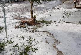 Granizo (ou saraiva) é a forma de precipitação que consiste na queda de pedaços irregulares de gelo, comumente chamados de pedras de granizo. Chuva De Granizo Deixa Ruas Cobertas De Gelo E Muda Cenario Em Cidade Do Interior De Sp Video Sorocaba E Jundiai G1