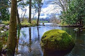 Deer lake park in burnaby. 5 Movies You Didn T Know Were Filmed At Burnaby S Deer Lake Park