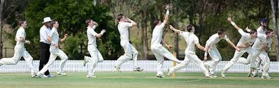 How Can We Increase The Speed And Accuracy Of A Swing Bowler Leverage winner cricket bowling machine is the most economical. speed and accuracy of a swing bowler
