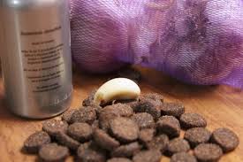 How To Get Rid Of Dog Worms Without Medicine Cuteness Worms In Dogs Dog Food Recipes Dog Remedies