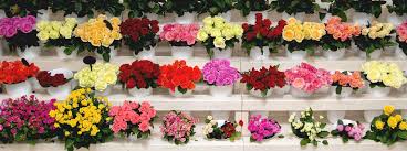 Maybe you would like to learn more about one of these? Florists And Flower Shops In Atlanta Ga