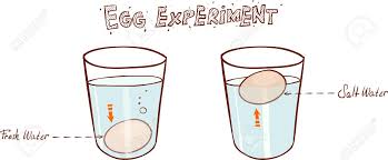 Egg Floating In Glass Of Water Sink Or Float Egg Freshness Test Royalty Free Cliparts Vetores E Ilustracoes Stock Image 59791841