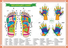 Right Foot Reflexology Chart Stock Images Royalty Free