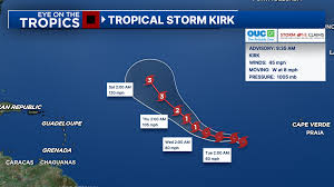 Image result for Tragia kirkiana