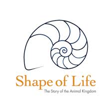 Shape of Life on Vimeo