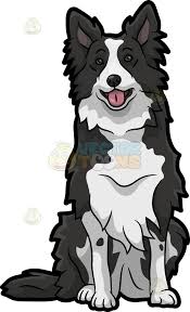 Black And White Collie Dog A Cute Border Collie Dog Dog Sketch Dog Animation Dog Drawing