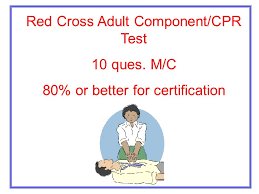 Studying for your cpr certification exam? Red Cross Written Test Review Ppt Video Online Download