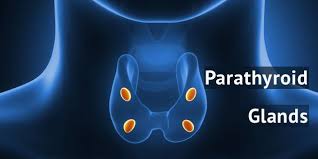 Image result for Hyperparathyroidism