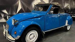 Image result for Bleu Muzzano 2011 Citroen