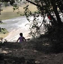 Check spelling or type a new query. Lake Houston Wilderness Park Tips For Visiting Jillbjarvis Com