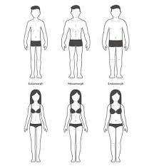 Indian Diet Plan For Ectomorph Mesomorph And Endomorph Body