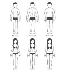 Indian Diet Plan For Ectomorph Mesomorph And Endomorph Body