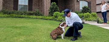Moxie Pest Control Expert Pest Control Friendly Service