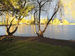 Klamath falls, oregon is a nature lover's dream vacation destination. Tingley Lake Estates Rv Park 3 Photos Klamath Falls Or